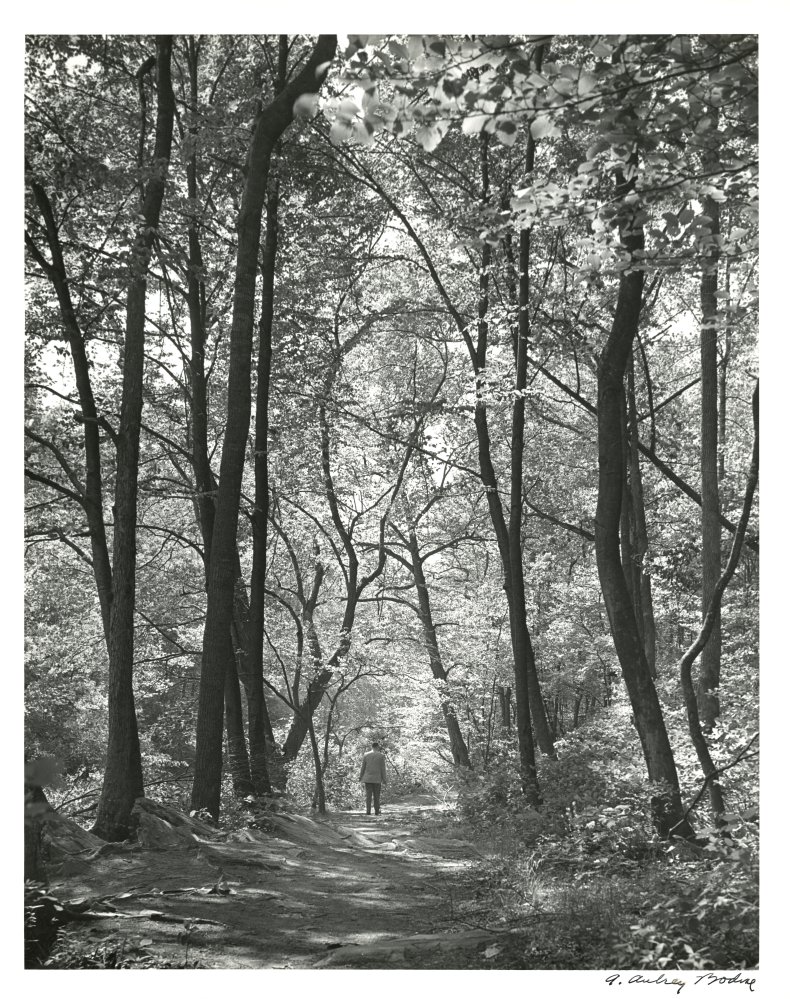 02-091 (click for large image)